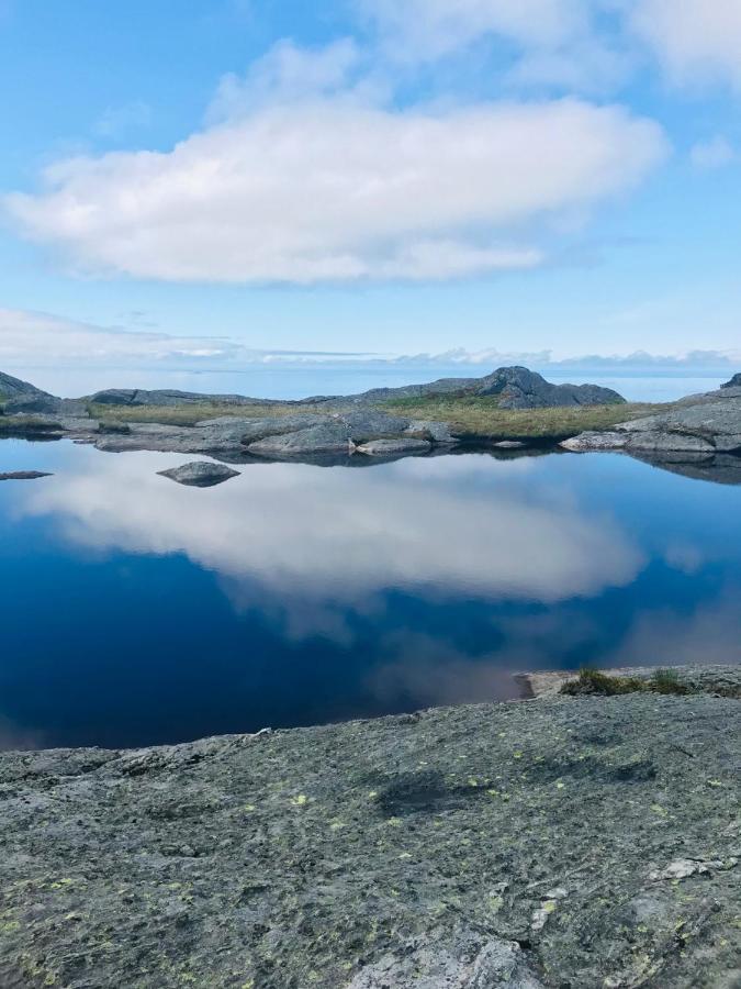 Somna Kro & Gjestegard Vik  Bagian luar foto